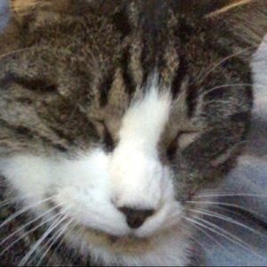 Meet your Posher, Greg